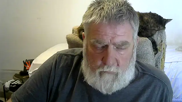 viejo oso online show from March 2026 09:38:02 PM