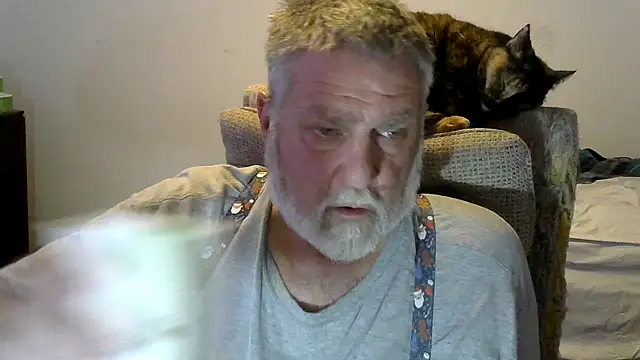 viejo oso online show from November 2025 03:21:02 AM