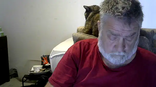 viejo oso online show from November 2025 04:08:01 PM