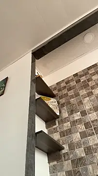 Sophia cyrus11 online show from February 2026 05:42:01 PM