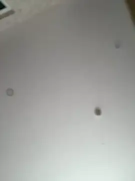 AndreaMood online show from December 2025 01:30:02 AM