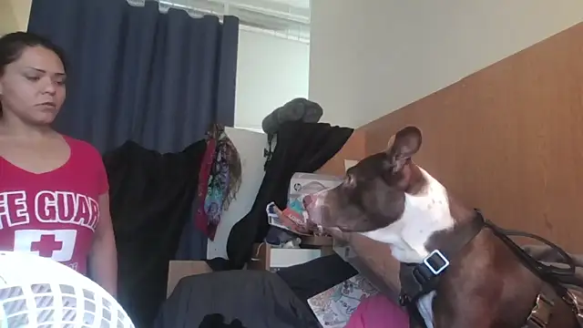 Dnasty408 online show from November 2025 08:13:01 PM