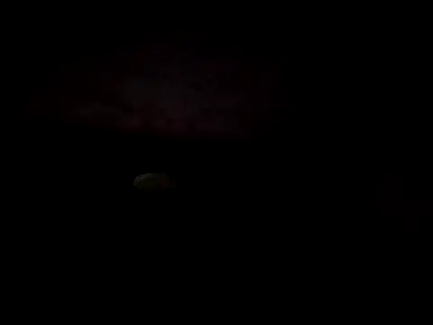 IamRentedBoybfriend online show from November 2025 10:57:02 PM