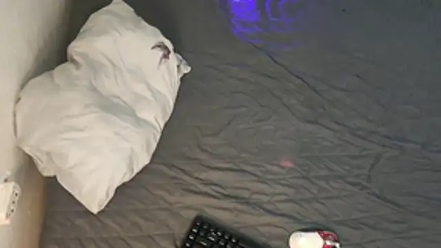 kyle 898 online show from December 2025 01:46:01 PM