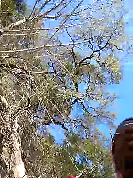 Snapshot of VelvetChocolate7 chatting on February 2026 08:31:02 PM VelvetChocolate7 online show from February 2026 08:31:02 PM