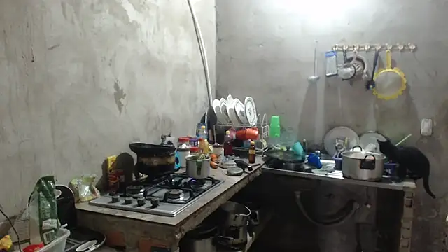 Coral0403 online show from March 2026 02:54:02 PM