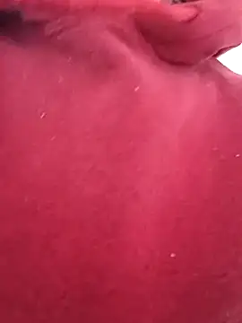 MrBelac online show from November 2025 06:35:02 PM