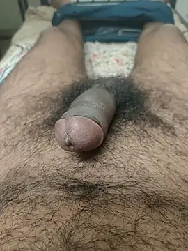 chinchi online show from March 2025 11:55:01 AM