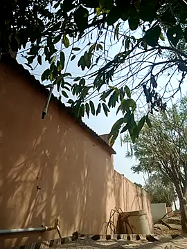 carria homes online show from March 2025 09:14:01 AM