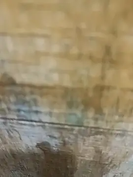 Snapshot of mksharma-mastlund chatting on January 2025 04:05:01 AM mksharma-mastlund online show from January 2025 04:05:01 AM