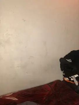 Redfucks333 online show from February 2026 09:58:02 PM