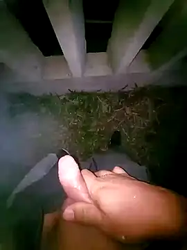 tesaodaweb online show from April 2026 09:27:01 AM