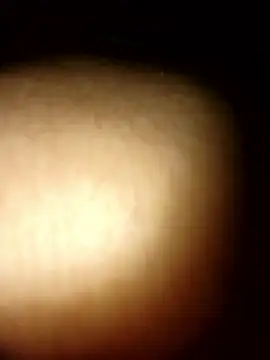 tesaodaweb online show from January 2026 12:34:01 PM