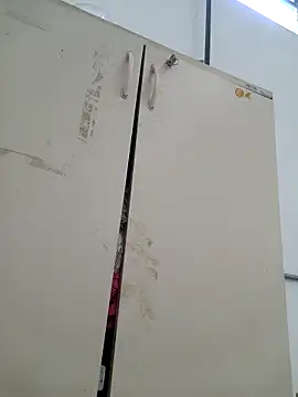 tesaodaweb online show from February 2026 10:45:02 AM