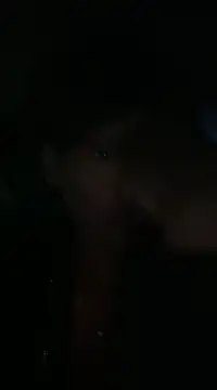 cinnabunzbunz86 online show from February 2025 04:23:02 AM