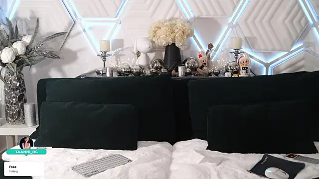 taanni bc online show from February 2026 04:56:01 PM