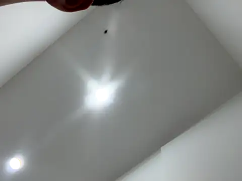 Sexocokin online show from December 2025 01:15:01 PM