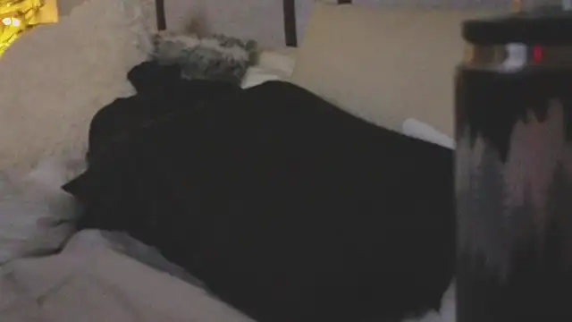 ivynyxx online show from March 2026 09:39:01 PM