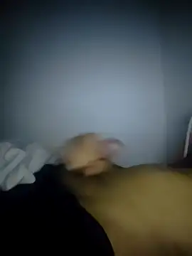 fredfgr online show from February 2026 12:52:02 AM