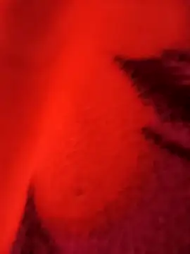 biharihot online show from December 2025 05:36:01 PM