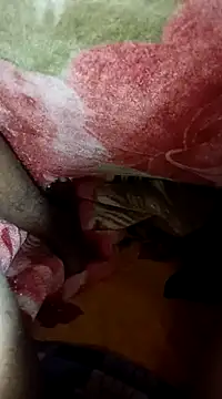 biharihot online show from December 2024 04:57:01 PM