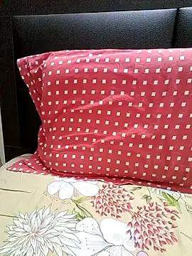 Tamil Vishalini online show from December 2025 04:35:02 AM