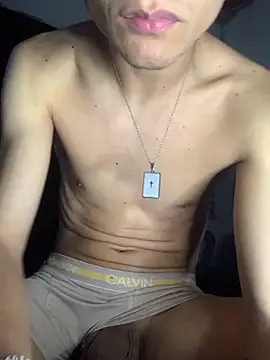 Snapshot of gabrielzinnnn085 chatting on December 2025 02:37:02 AM gabrielzinnnn085 online show from December 2025 02:37:02 AM