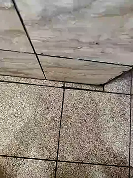 Snapshot of dreamers_dick chatting on January 2025 02:22:02 AM dreamers dick online show from January 2025 02:22:02 AM