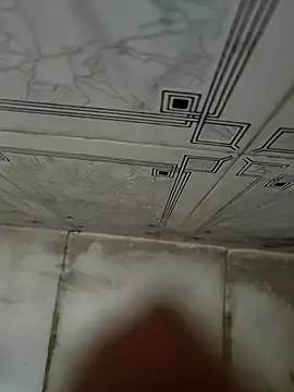 Snapshot of dreamers_dick chatting on January 2025 08:06:01 AM dreamers dick online show from January 2025 08:06:01 AM