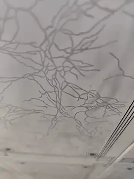 Snapshot of dreamers_dick chatting on January 2025 04:13:01 PM dreamers dick online show from January 2025 04:13:01 PM