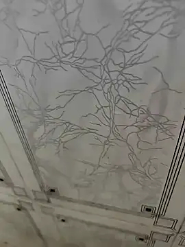 Snapshot of dreamers_dick chatting on January 2025 05:24:02 AM dreamers dick online show from January 2025 05:24:02 AM