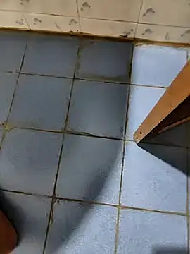 Snapshot of dreamers_dick chatting on January 2025 07:50:02 PM dreamers dick online show from January 2025 07:50:02 PM