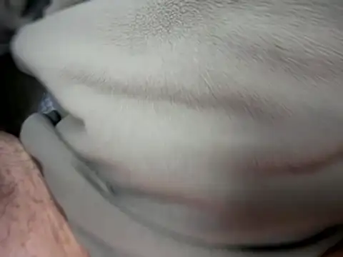 Archie8338 online show from January 2026 04:21:02 PM