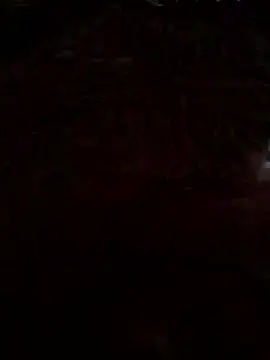 gamdschie49 online show from March 2026 04:56:01 PM