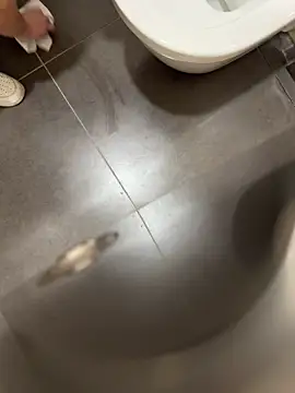 verici34 online show from March 2026 09:09:01 AM