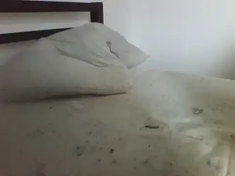 Snapshot of horndude187187 chatting on January 2025 11:05:01 AM horndude187187 online show from January 2025 11:05:01 AM