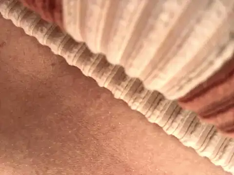 BELLA--26 online show from September 2025 01:46:01 PM