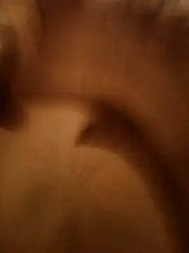 HueingChamber4352 online show from October 2025 03:49:02 PM