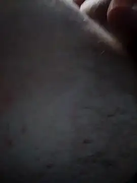 HueingChamber4352 online show from September 2025 04:07:01 PM