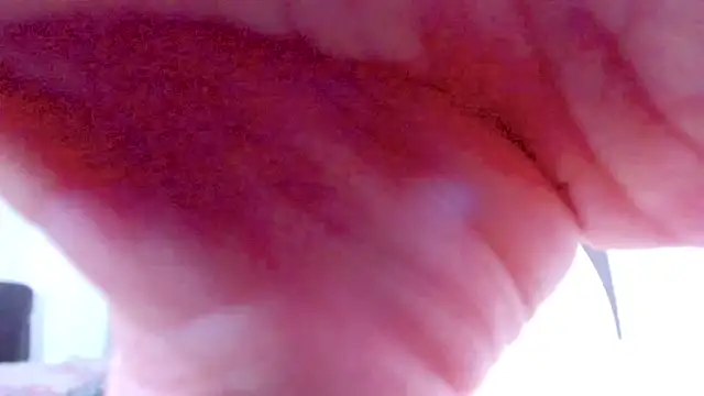 violetadumsper online show from December 2025 03:44:02 AM