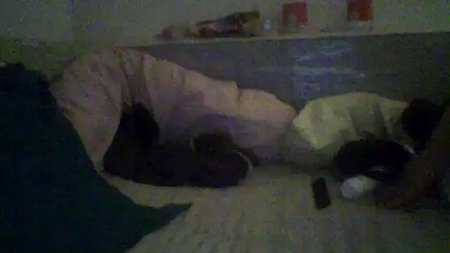 Snapshot of javierpasteur69 chatting on March 2025 04:54:02 PM javierpasteur69 online show from March 2025 04:54:02 PM