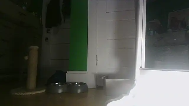 SadCatDaddy online show from June 2026 09:10:01 AM