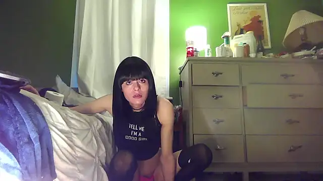 SadCatDaddy online show from December 2025 12:17:02 AM