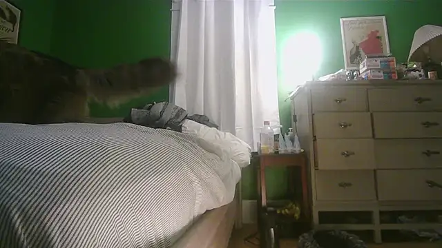 SadCatDaddy online show from February 2026 11:31:01 AM