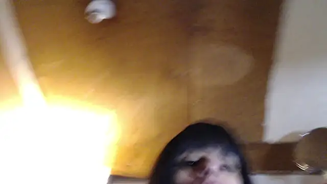 SadCatDaddy online show from March 2025 03:14:02 PM