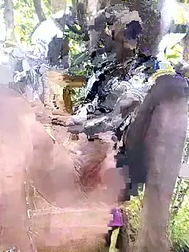 Kaizer1 online show from March 2026 07:04:02 AM