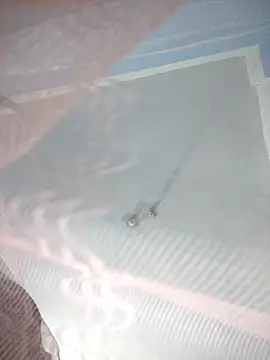 124pakhi online show from January 2026 03:19:01 PM