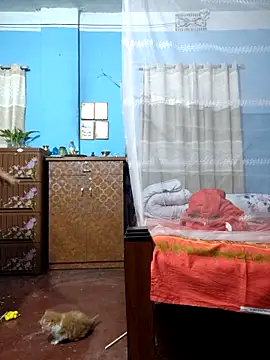 124pakhi online show from March 2026 01:06:01 AM