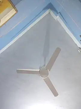 124pakhi online show from March 2026 01:11:01 AM