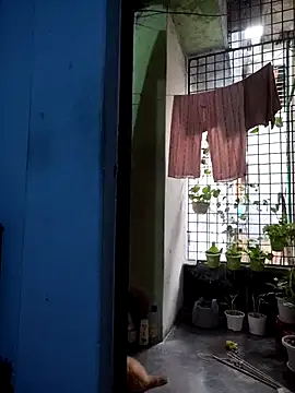 124pakhi online show from March 2026 01:30:01 AM